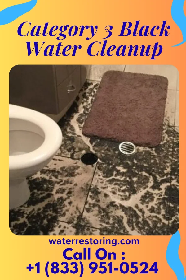 Category 3 Black Water Cleanup in Crystal Lakes, OH