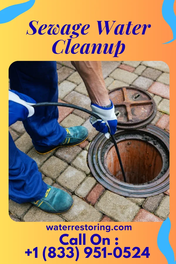 Sewage Water Cleanup in Crystal Lakes, OH